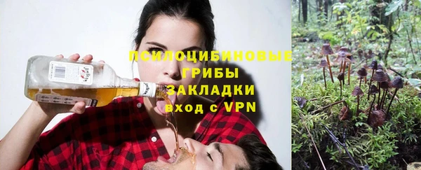 дурь Лабытнанги
