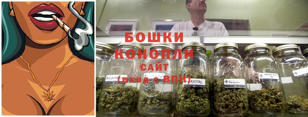 дурь Лабытнанги