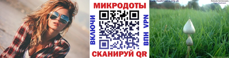 Купить закладки  Байкальск  Псилоцибиновые грибы GOLDEN TEACHER 